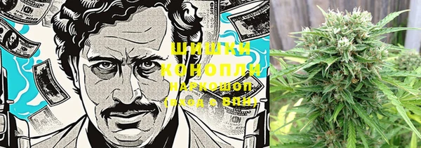 гидра Богданович