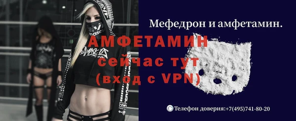 гидра Богданович