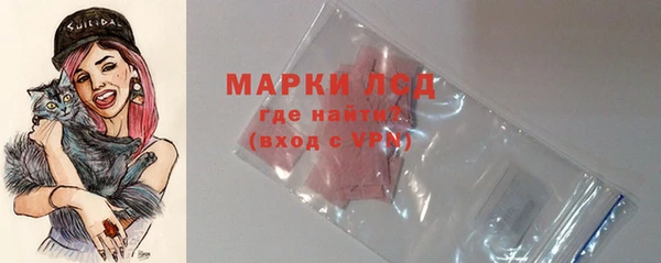 гидра Богданович