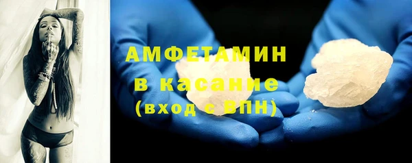 гидра Богданович