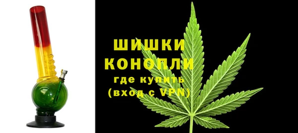 гидра Богданович