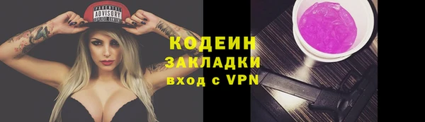 гидра Богданович