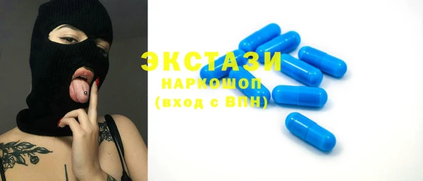 гидра Богданович