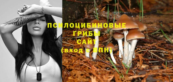 спайс Богородицк