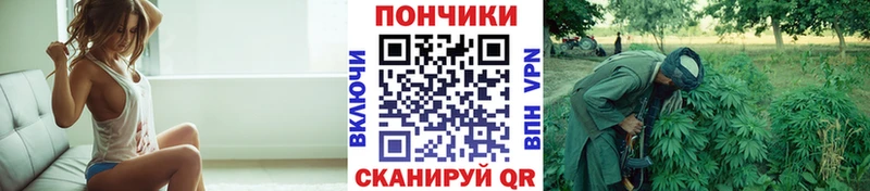 Марихуана семена  Купить закладки  Унеча 